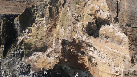 birds flying against rugged cliff in snaefellsnes peninsula in western iceland