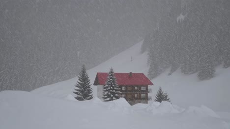 snowy mountain cabin in a blizzard