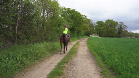 brown horse and rider riding down a country lane next to a field