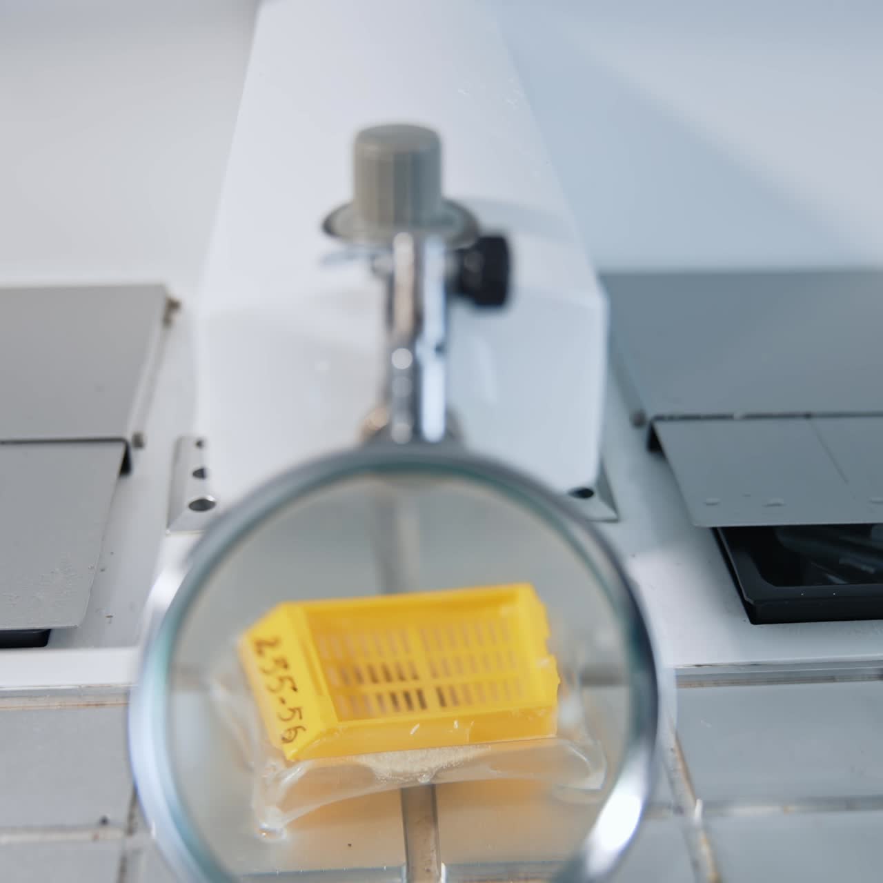 Scientist checking qulity of sample. Tube with collection samples for research virus in laboratory at hospital