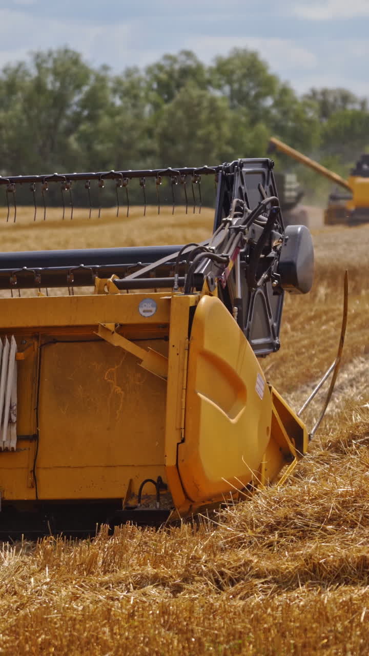 Agricultural works on the yellow field in summer. Modern equipment of machinery working in the countryside. Combine harvester gathering ripe grains. Vertical video