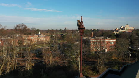 A-close-up-shot-of-a-red-tail-hawk-perched-on-a-metal-cross-on-top-of-a-church-roof