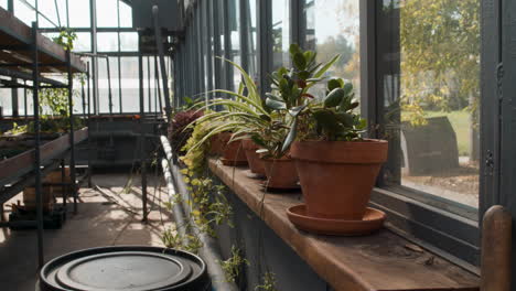 interior of a greenhouse