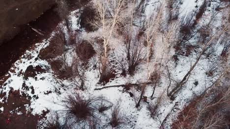 Gente-Con-Armas-Corriendo-A-Través-De-Los-árboles-En-El-Bosque-Nevado-En-El-Cañón-Hobble-Creek,-Condado-De-Utah,-Utah