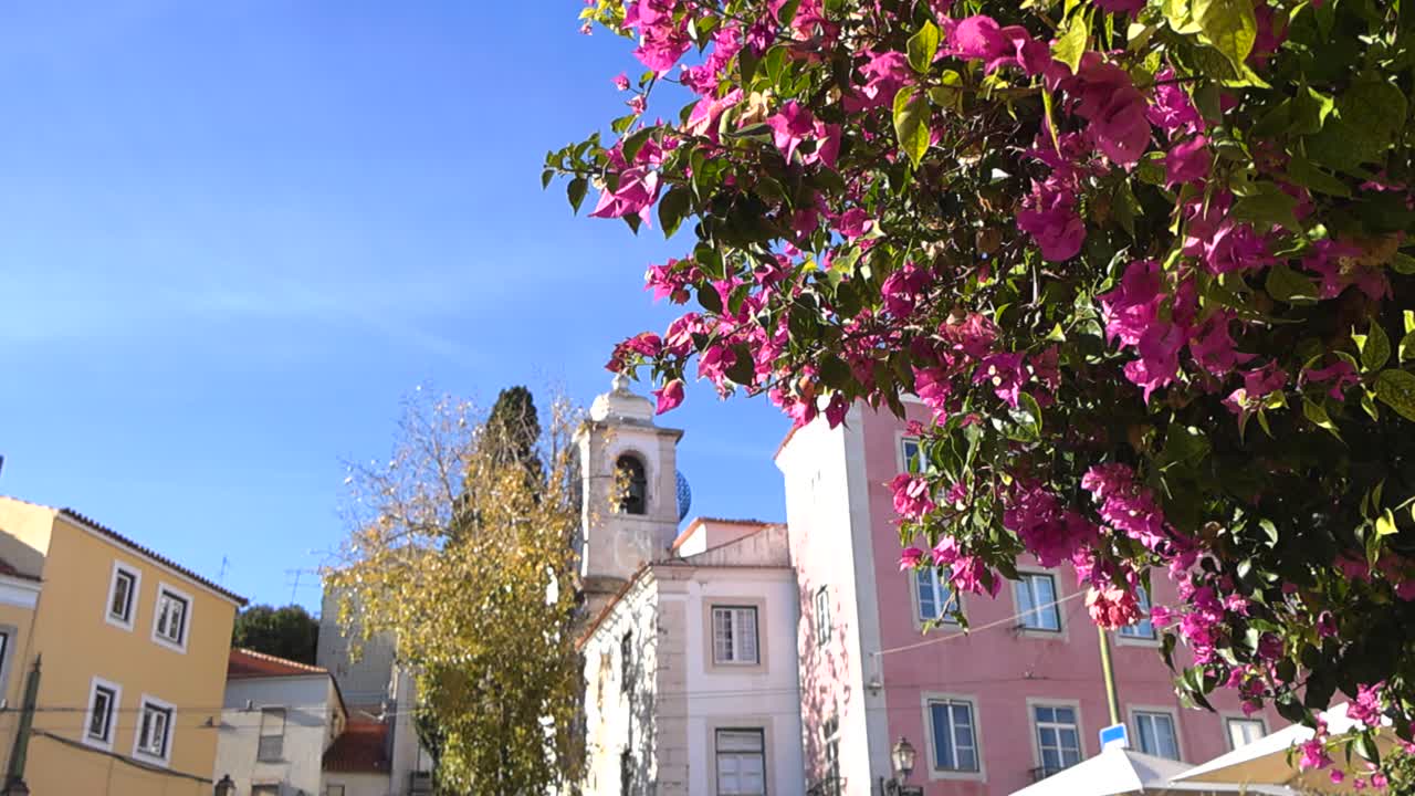 Açan dalların arasından nazikçe görünen Igreja de Santiago, parlak güneşli bir günde Santa Luzia bakış açısıyla pastel renkli evler ve masmavi gökyüzüyle çerçevelenmiş.