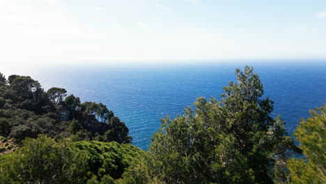 scenic view of mallorca coastline with lush greenery