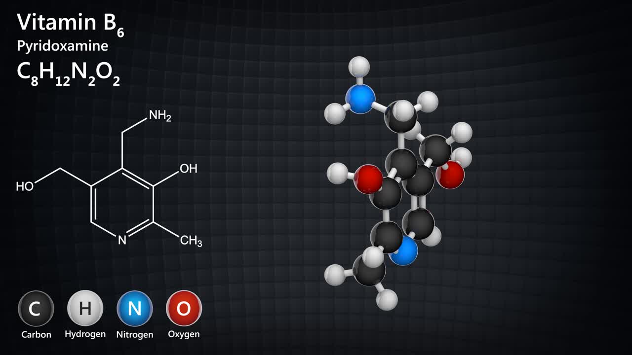 la vitamina b6 (piridoxamina) es una de las vitaminas más importantes de la vida.