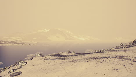 Costa-De-La-Antártida-Con-Piedras-Y-Hielo