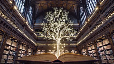 a glowing tree emerges from an open book in a grand library, captured from a low angle