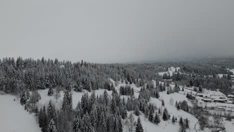 Winter-in-Romania-Cinematic-4K-Aerial-Footage