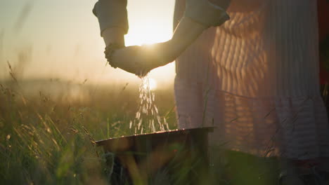 a woman in a pink dress squeezes water from a cloth into a black bucket while standing in a grassy field during sunset