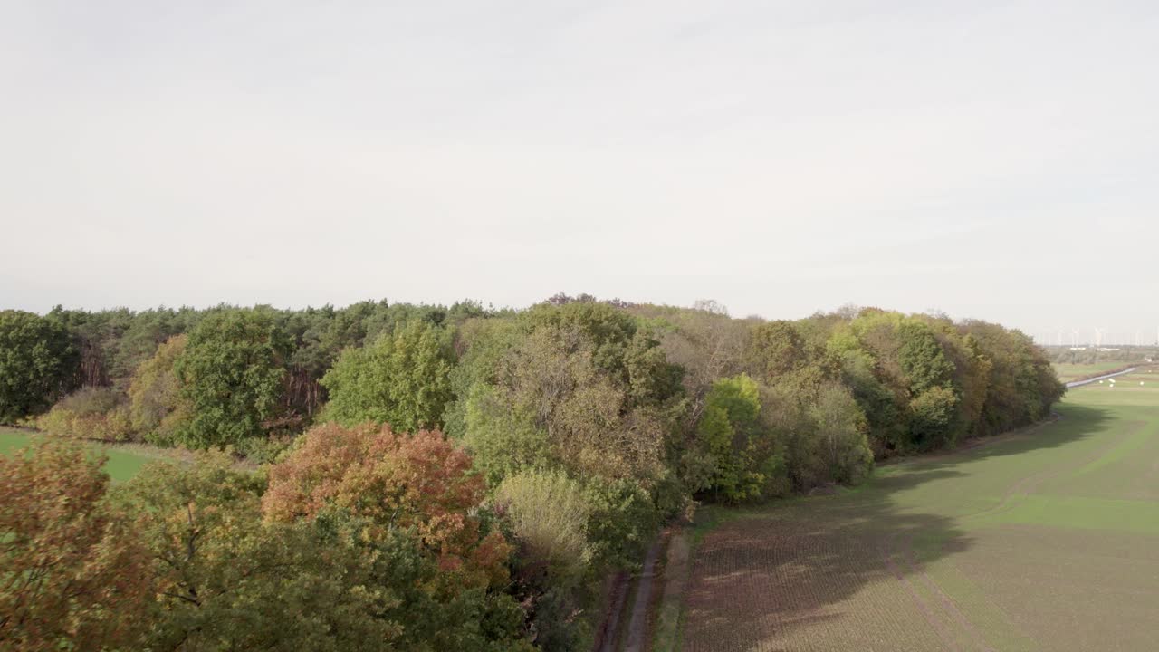 imágenes de drones aéreos de carreteras rurales y árboles con colores otoñales tomadas en un lugar llamado uetz en brandeburgo, alemania