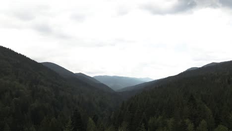 Wide-aerial-shot-of-vast-forested-valley-in-Ukraine