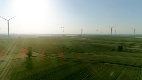 wind turbines on the field