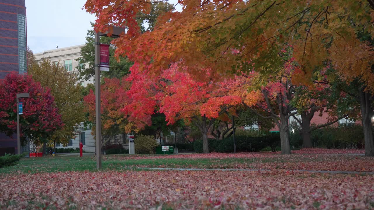 A still shot of the Iowa State University campus showcasing vibrant fall foliage at its peak on a sunny day.