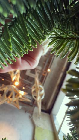 mujer mirando las decoraciones de navidad