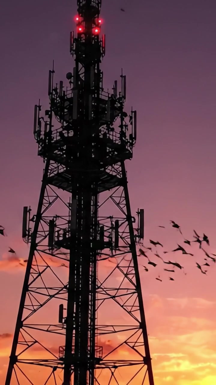 Una Majestuosa Torre de Telecomunicaciones Recortada Contra un Impresionante Atardecer, Capturando la Belleza de la Infraestructura Moderna y el Esplendor de la Naturaleza