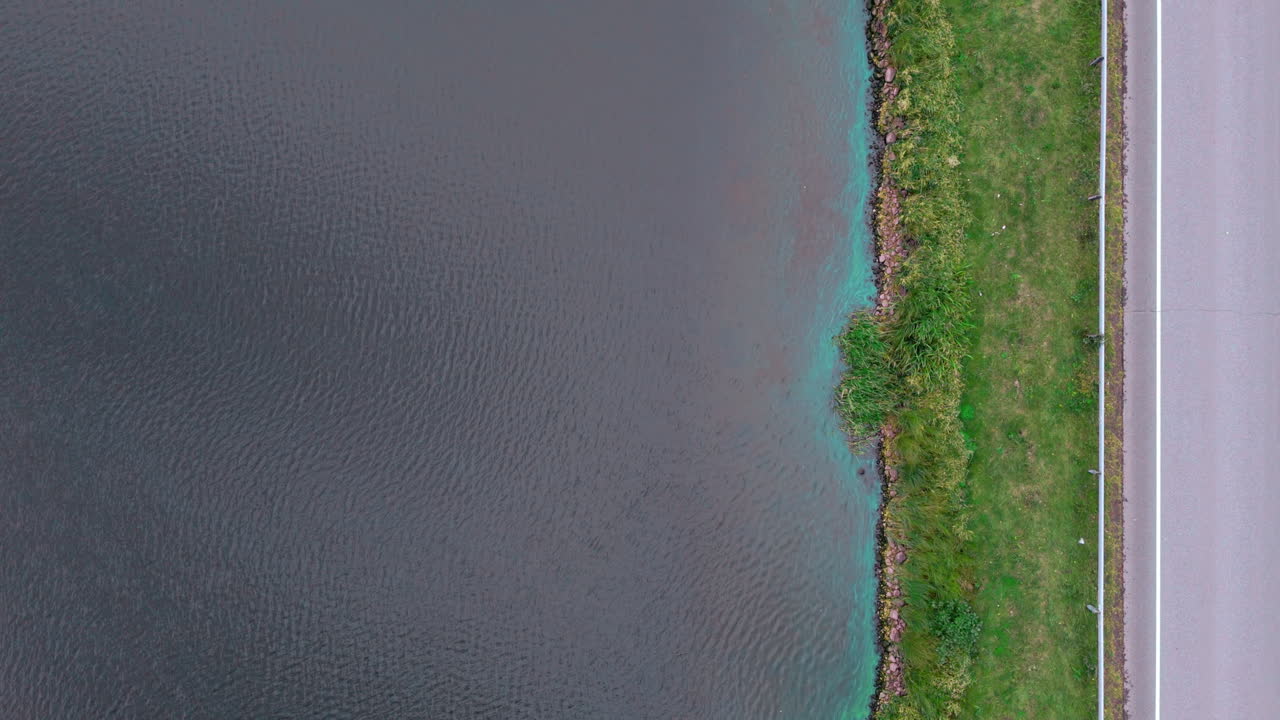 Inquadratura fissa verticale dall'alto di una sponda del lago con cianobatteri e alghe blu-verdi lungo una strada con un'auto di passaggio, erba verde tra la strada e lo specchio d'acqua
