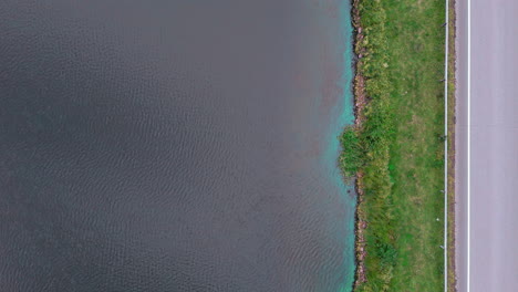 Fix-vertical-top-shot-of-a-lakeshore-with-cyanobacteria-blue-green-algae-along-a-road-with-a-car-driving-past,-green-grass-between-the-road-and-body-of-water