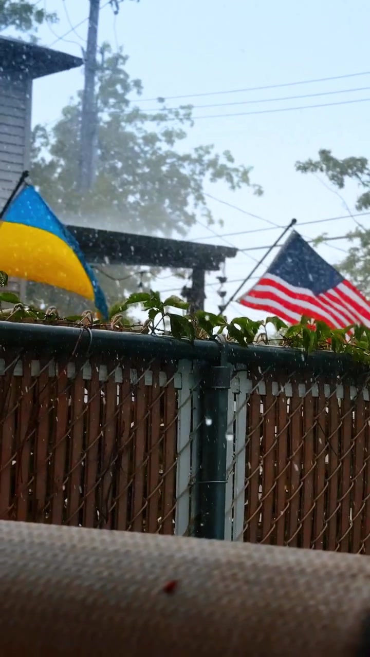 Ukrainian and American flags in rain. Two flags wave over a backyard fence during a heavy summer storm.