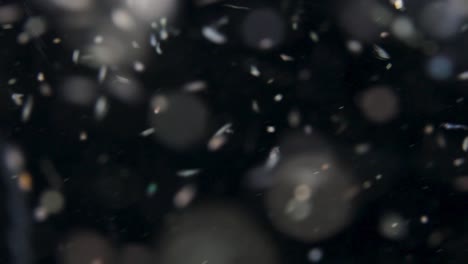 plancton y microorganismos atraídos por una luz submarina que se mueve vigorosamente creando un efecto de iluminación inusual