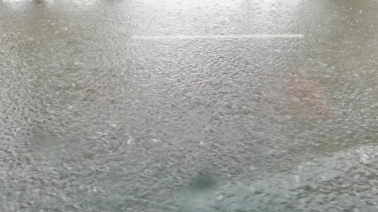 도시 비. 큰 웅이. 오드사이드 뷰. 가을 위험. 자동차 은 여행