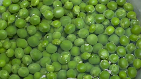Closeup-of-fresh-Green-Peas-in-water,-Pisum-sativum