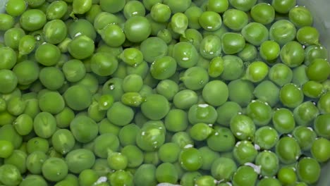 Primer-Plano-De-Guisantes-Verdes-Frescos-En-Agua,-Pisum-Sativum