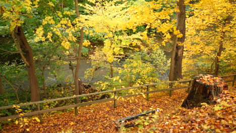 Bank-Im-Herbstlichen-Waldpark