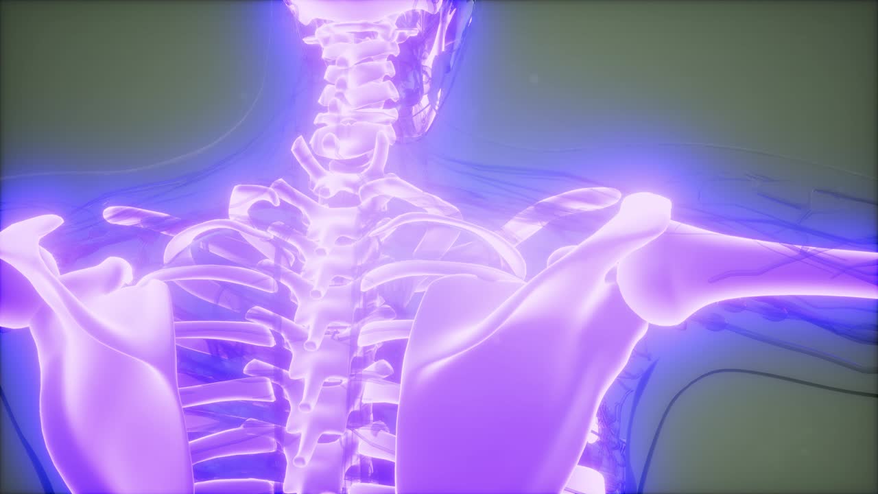 눈에 띄는  ⁇ 가 있는 투명한 인간 몸