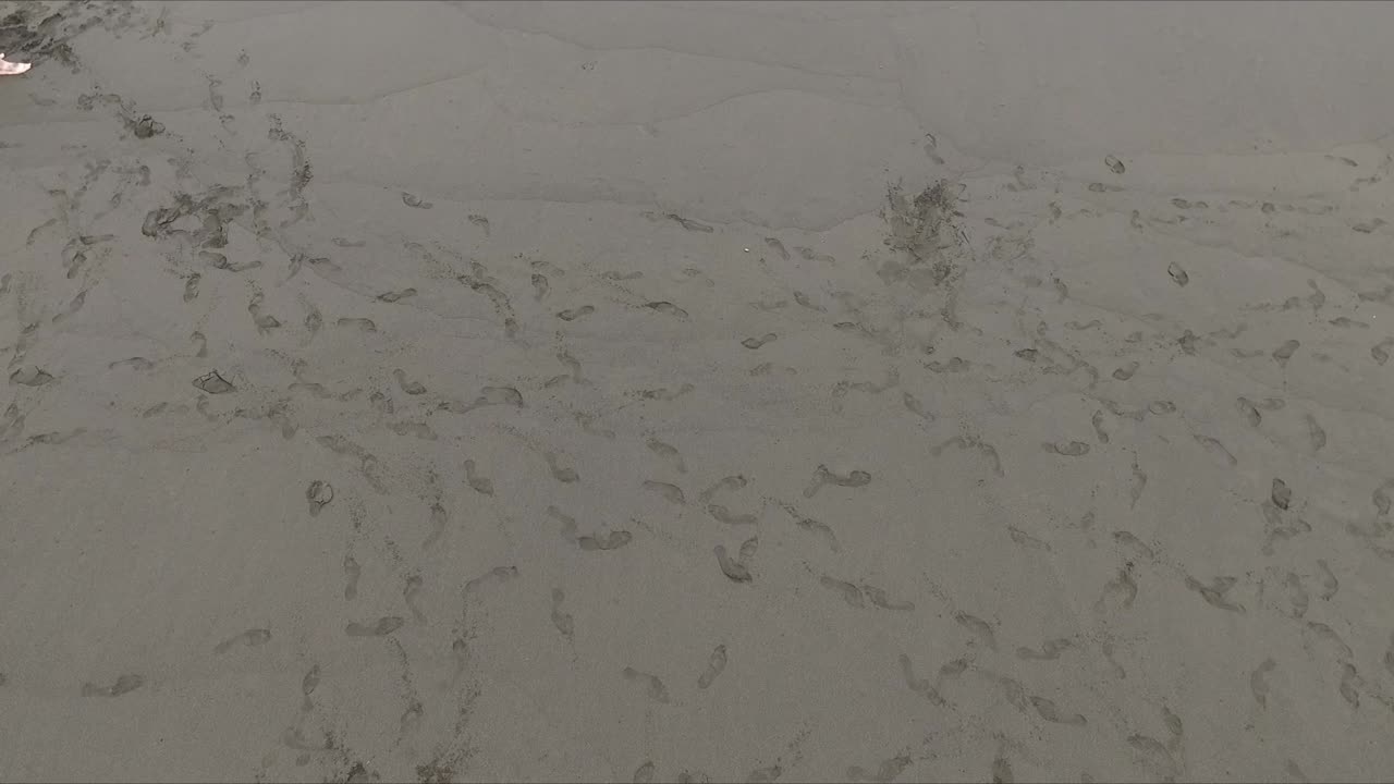 aerial, footmarks on beachfront black sand at volcanic island of Tenerife, Canary Island. Tracks scattered on coast leaving paths. Many foot prints traces. Camera moves forward where sand is flat.