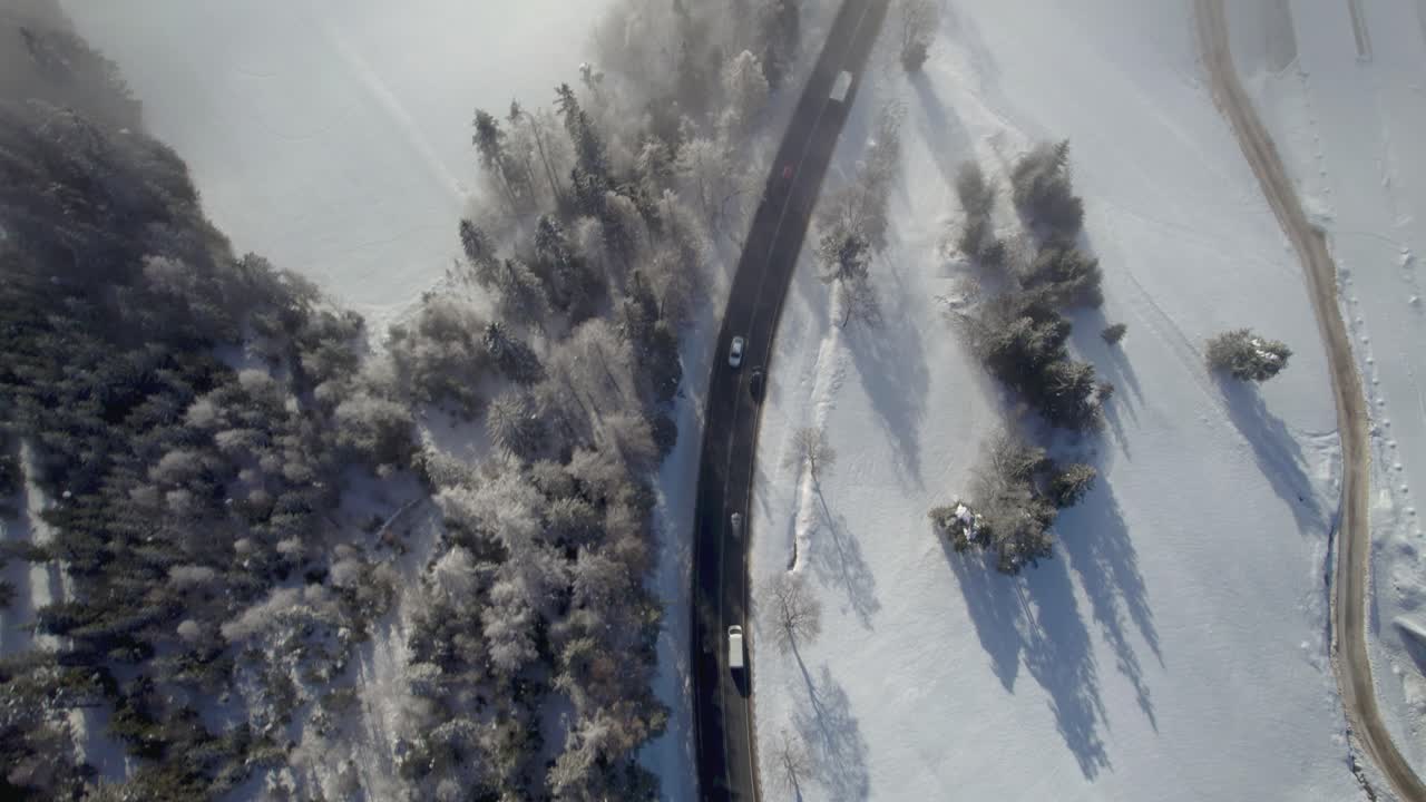 vista de pájaro de los automóviles que conducen a la niebla durante el día de invierno
