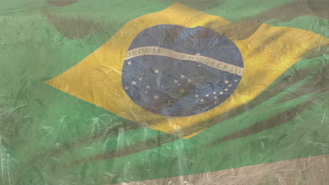 digital composition of waving brazil flag against close up of crops in farm field