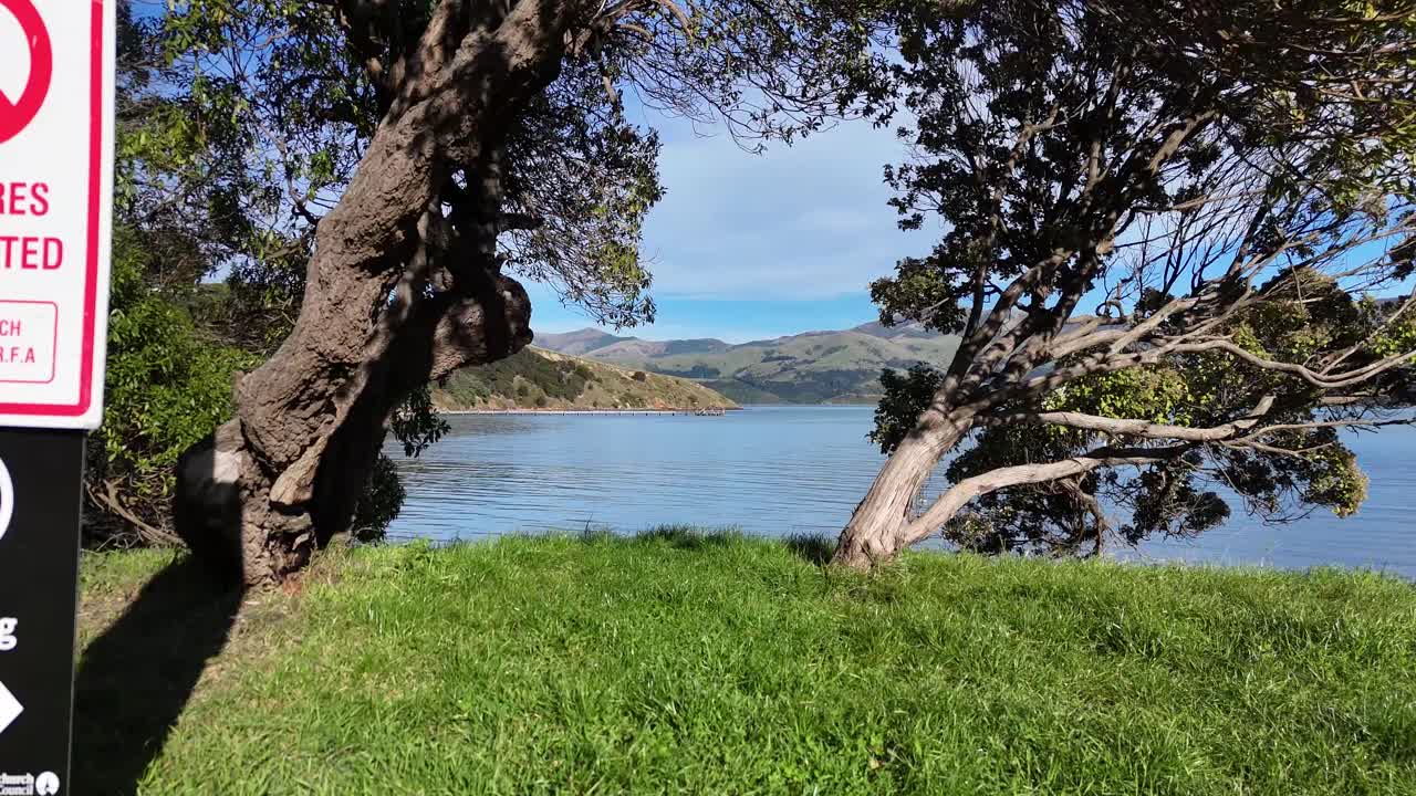 A tranquil lakeside view in Akaroa with clear prohibition signs against fires and camping, under bright daylight