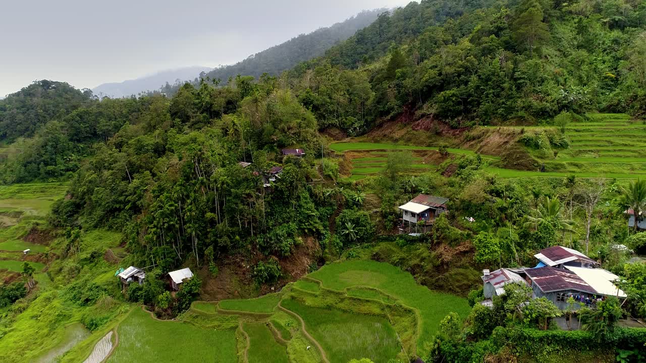arrozales en las montañas filipinas con cabañas y casas entre árboles verdes y frondosos