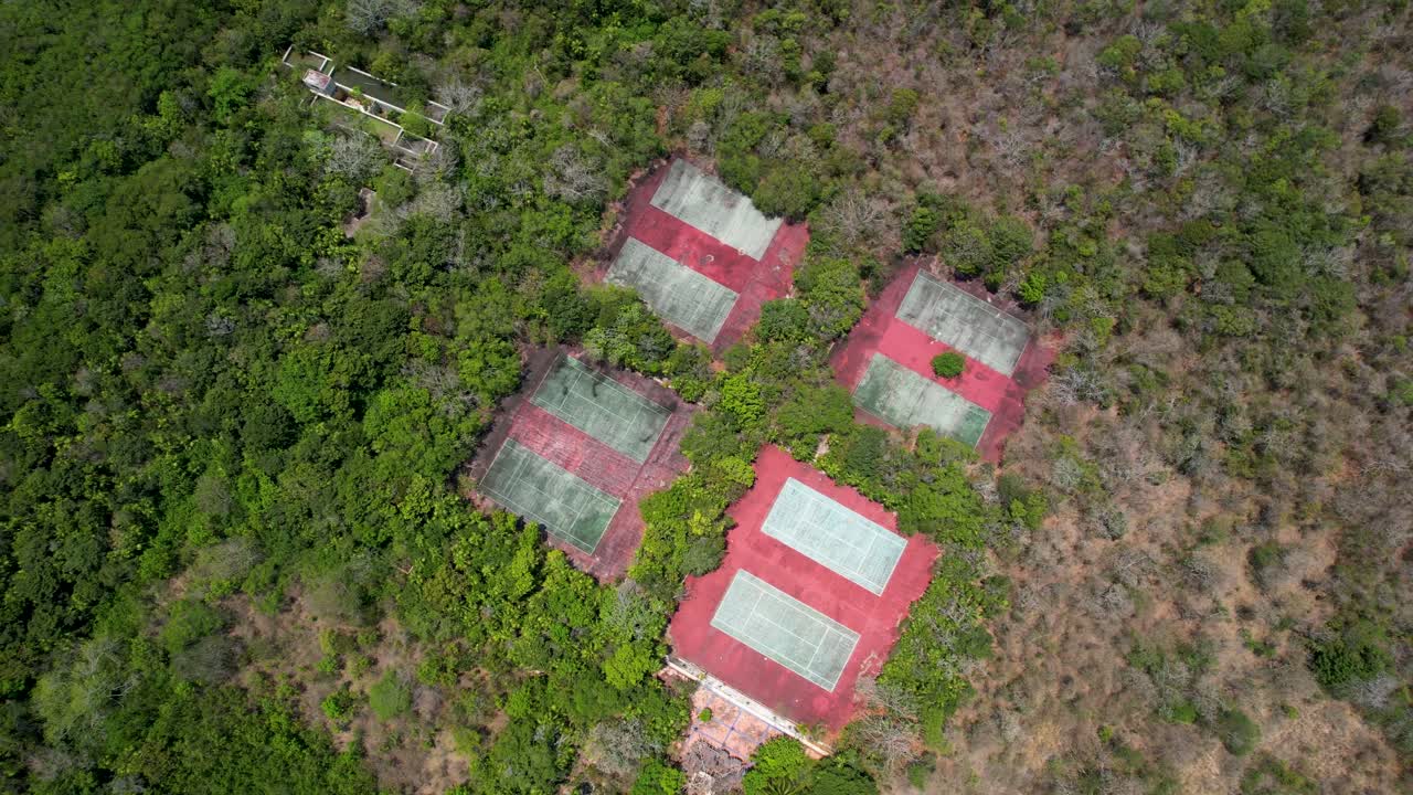 pistas de tenis cubiertas de vegetación en un complejo tropical abandonado - daños causados por el huracán - ascenso aéreo
