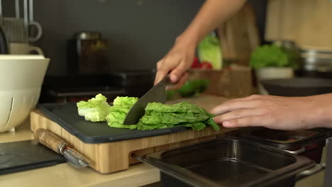 Close-Up-of-Female-Hands-Cutting-Lettuce-