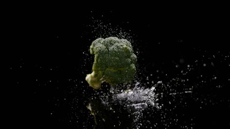 Vibrant-broccoli-falling-into-water-and-splashing,-isolated-on-black-background
