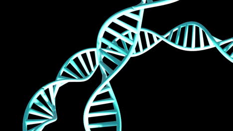 animación de cadenas de adn girando con espacio de copia sobre fondo negro