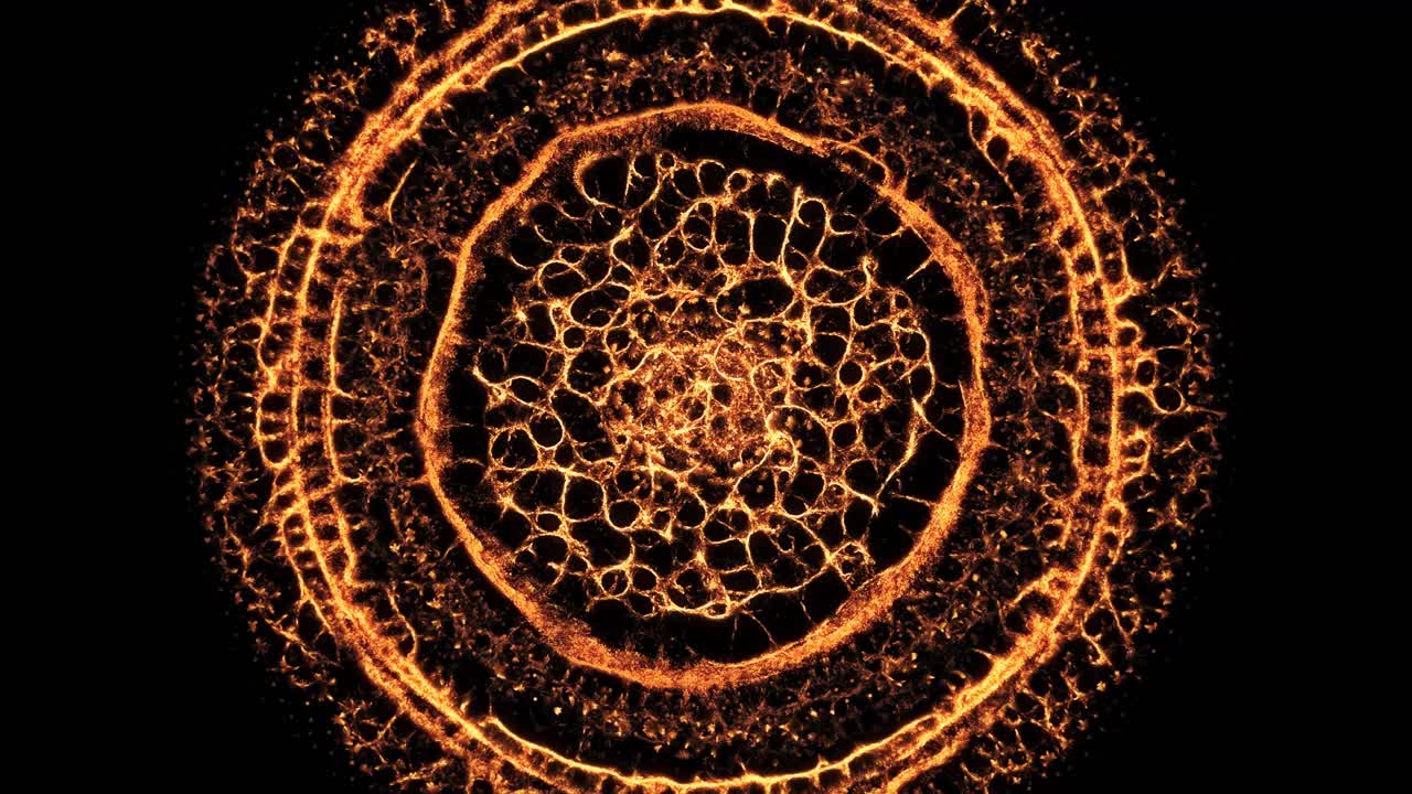 red neuronal expandiendo la onda de choque de crecimiento. fondo negro