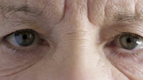 elder-senior-woman-close-up-green-eyes-slow-motion-blinking