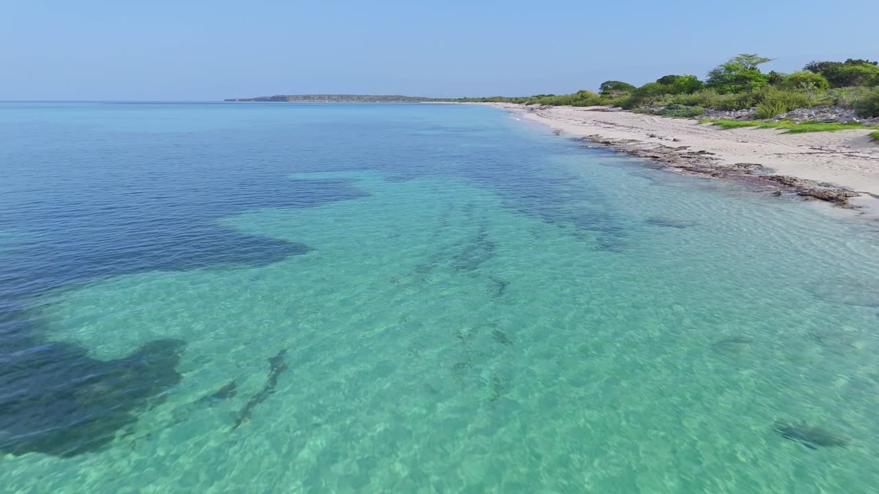 vuelo aéreo sobre el mar caribe claro con corales en la playa de la cueva, república dominicana