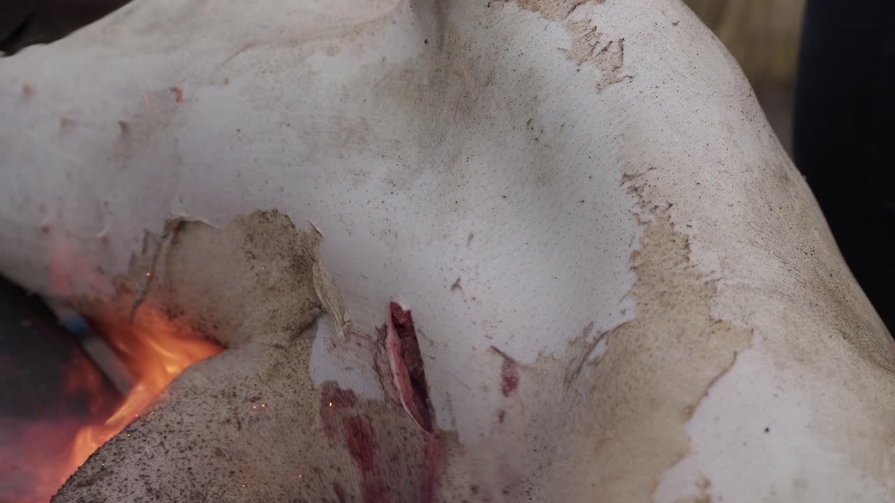 Torch flame burning pig skin to remove hair in traditional northern Portuguese butchering