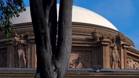 estatuas y tallas en la cúpula del palacio de bellas artes detrás de un árbol soplado por el viento en san francisco