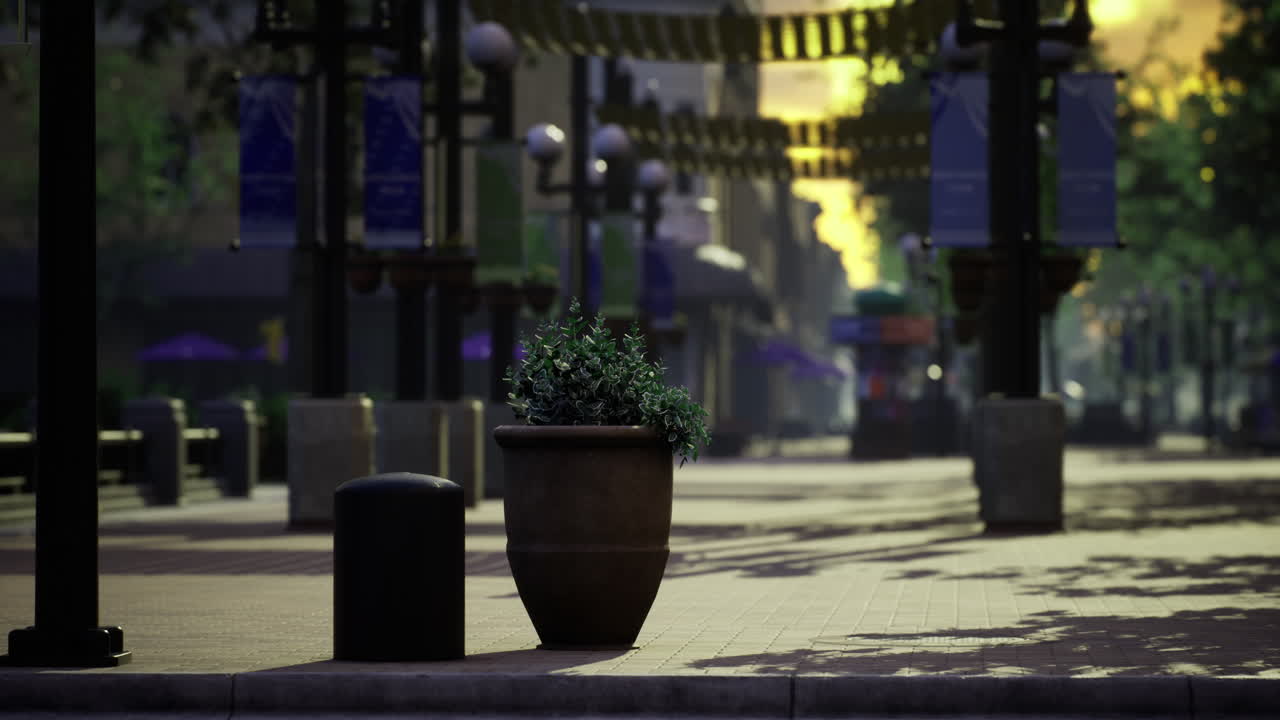 Urban street with potted plant and empty sidewalk in the morning light