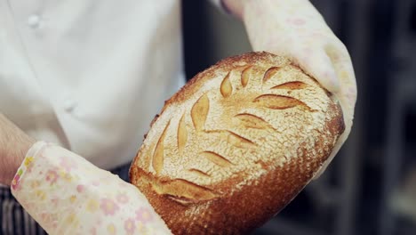 Closeup,-baker-holds-homemade-fresh-wheat-bread-just-pulled-out-of-oven