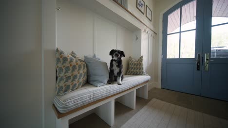 a black and white dog on an entryway bench in a home