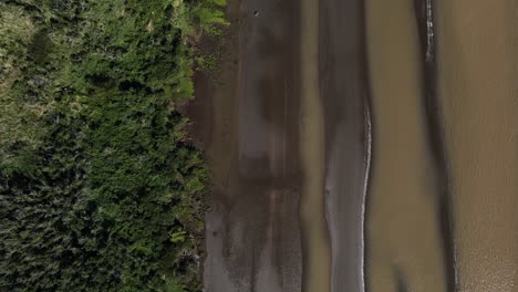 Vista-Aérea-De-Arriba-Hacia-Abajo-A-Través-De-La-Naturaleza-Virgen-El-Destino-Arena-Húmeda-Ribera-Y-Vegetación-De-Humedales-En-Buenos-Aires