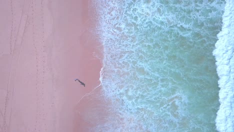 Playa-De-Arena-Rosa-Con-Agua-Azul-Turquesa-Del-Océano-Rompiendo-La-Orilla-Y-Hombre-Caminando-Por-La-Playa