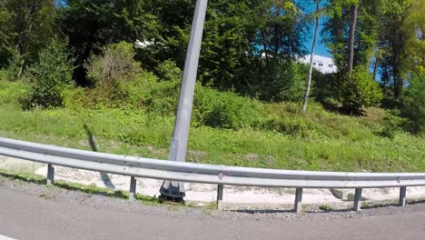 vista de árboles y vegetación a orillas de la carretera